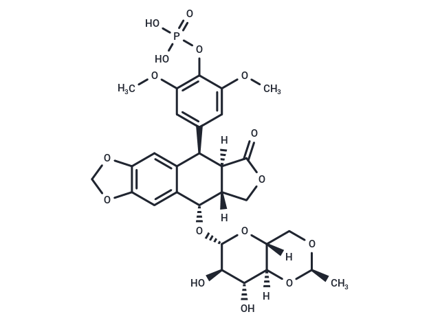 Etoposide Phosphate
