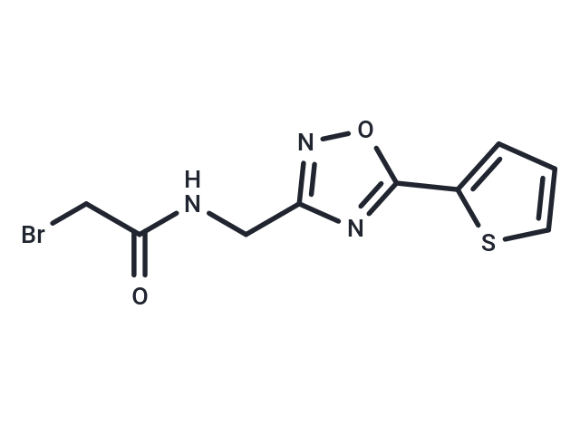 SDH-IN-24