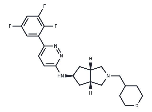 VU6028418