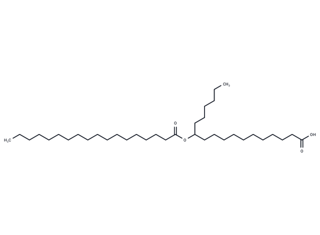 12-SAHSA
