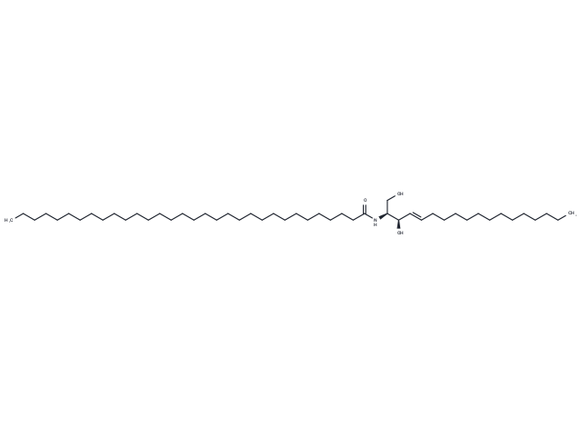 C32 Ceramide (d18:1/32:0)