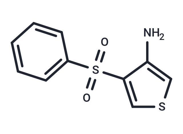 Compound Fr13528