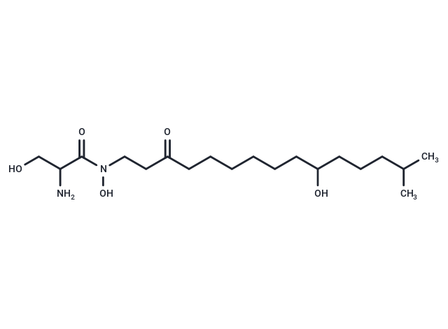 Enactin Ⅴa