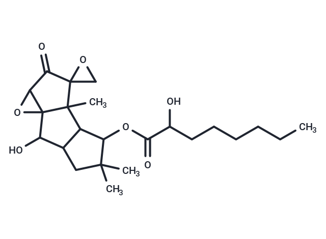 Coriolin C