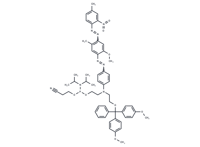 DMT-BH1 amidite