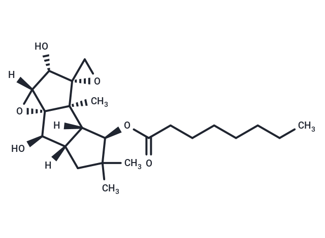 Coriolin B