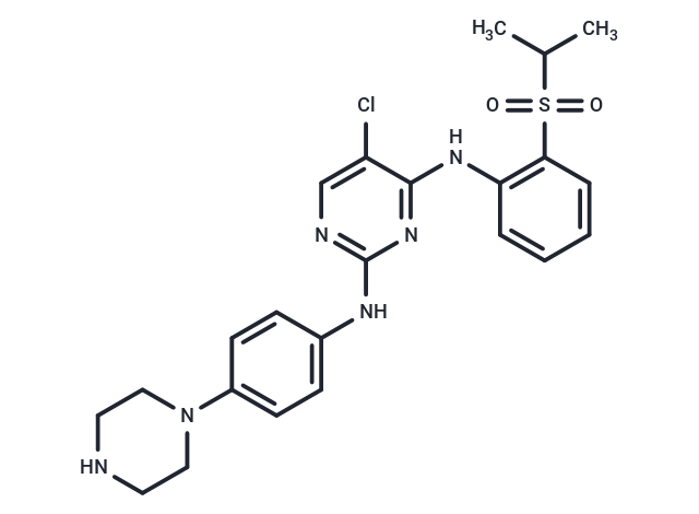 TAE648