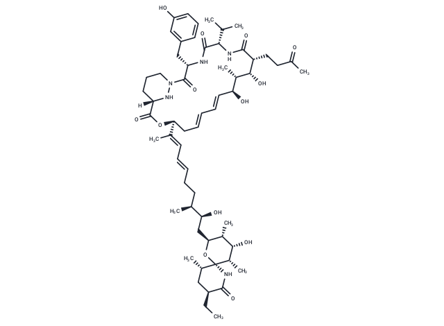 Sanglifehrin A