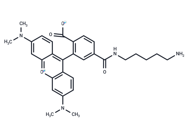 6-TAMRA cadaverine