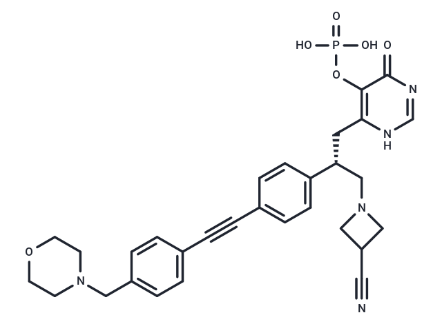 FG-2101