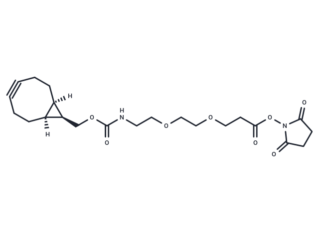 endo-BCN-PEG2-NHS ester
