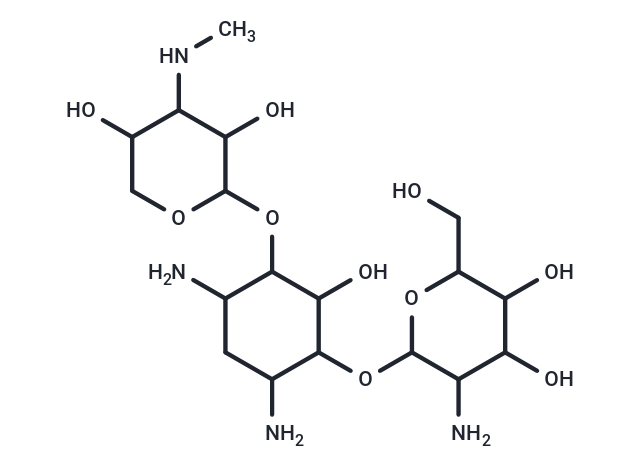 Gentamicin A