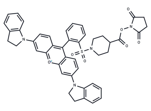 SY-21 NHS ester