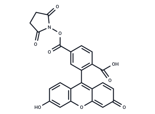 FAM NHS ester,6-isomer