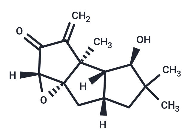 Hypnophilin