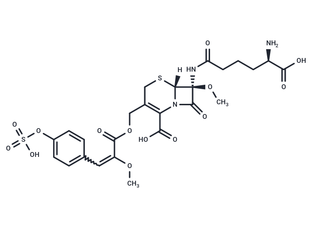 Cephamycin A