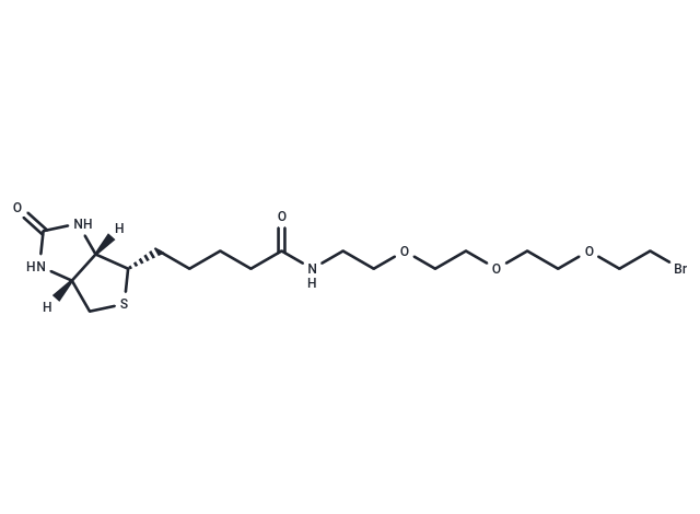 Biotin-PEG3-Bromide