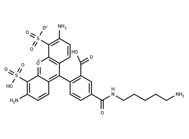BP Fluor 488 cadaverine