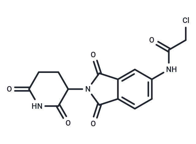 5-(2-Chloroacetamide) thalidomide