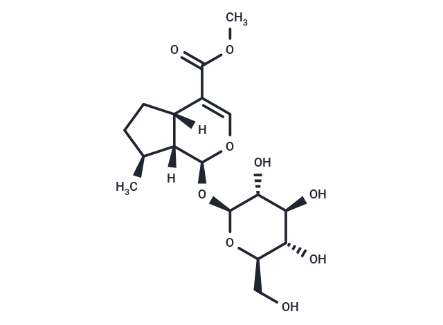 7-Deoxyloganin