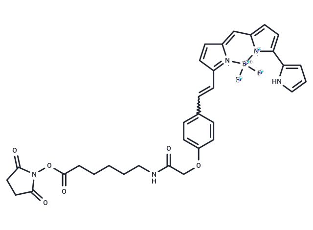 BDP 650/665 X NHS ester