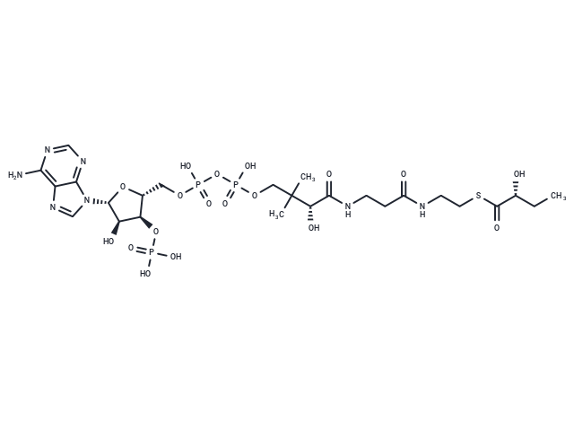(R)-2-Hydroxybutanoyl-CoA