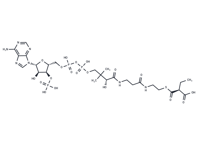 (S)-Ethylmalonyl-CoA