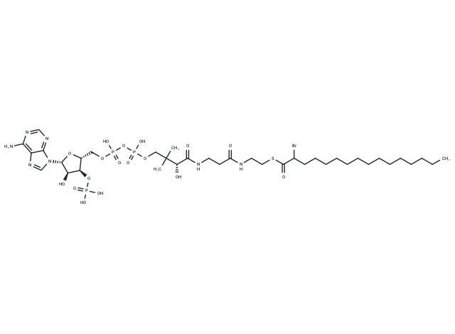 2-Bromopalmitoyl-CoA