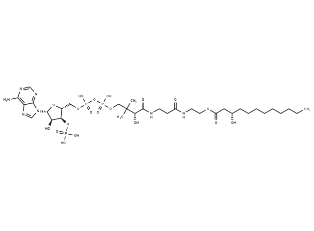 (S)-3-Hydroxylauroyl-CoA