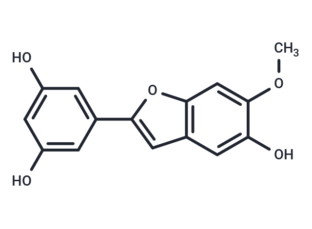 Moracin J