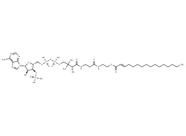 2E-Hexadecenoyl-CoA