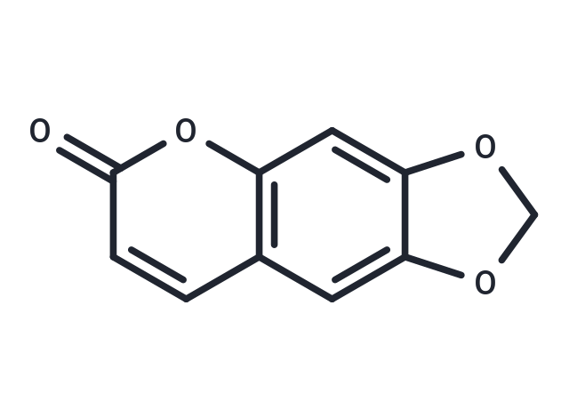 Ayapin