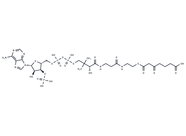 3-Ketopimelyl-CoA