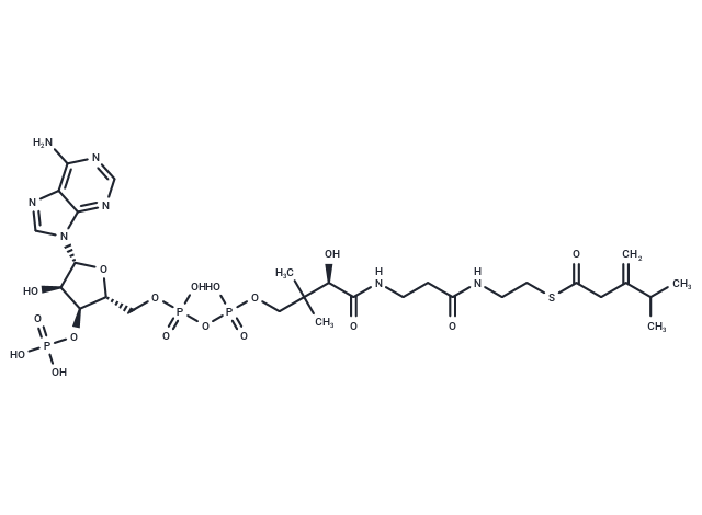 3-Isopropylbut-3-enoyl-CoA