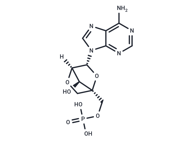 LNA-AMP