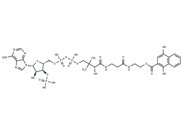 1,4-Dihydroxy-2-naphthoyl-CoA
