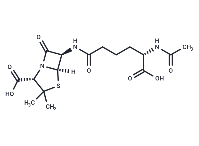 N-Acetylisopenicillin N