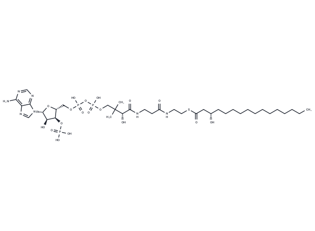 (S)-3-Hydroxypalmitoyl-CoA