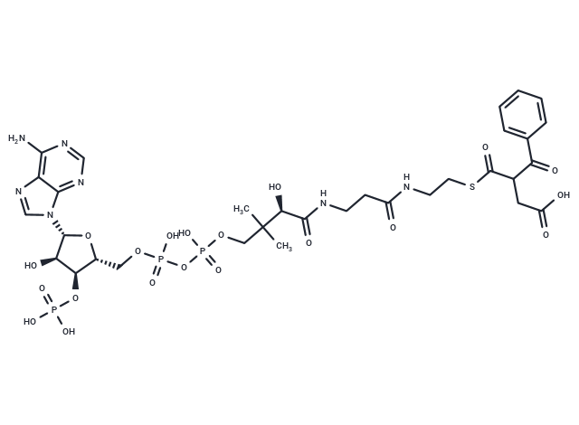 2-Benzoylsuccinyl-CoA
