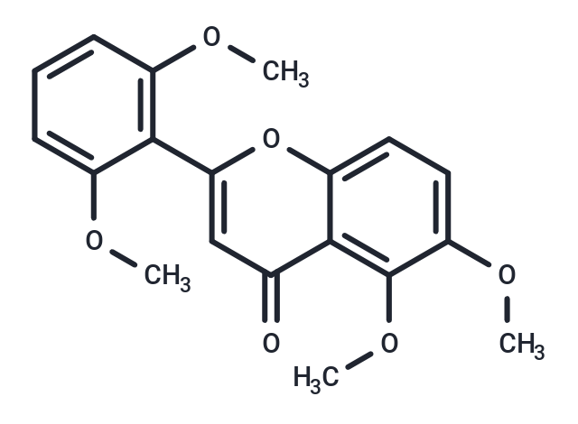 Zapotin