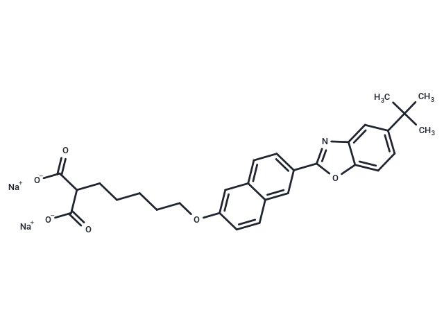 SK-216
