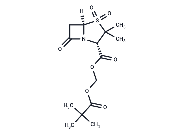 Sulbactam pivoxil