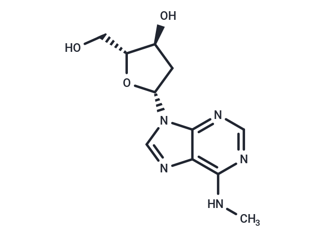 N6-Methyldeoxyadenosine
