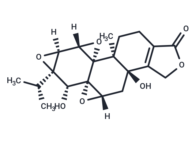 (5R)-5-Hydroxytriptolide
