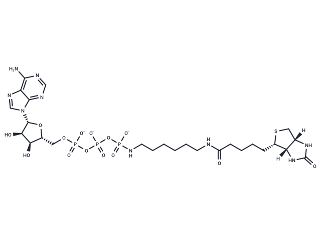 γ-[(6-Aminohexyl)-imido]-ATP-biotin
