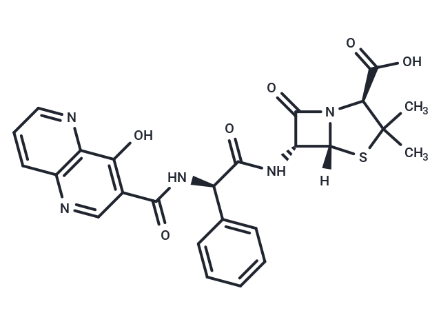 Apalcillin