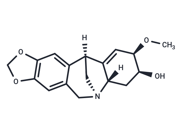 Coccine