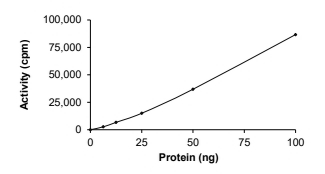 NPM1-ALK Protein, Human, Recombinant (GST)