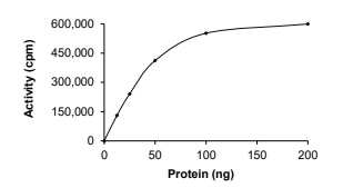 DYRK1B Protein, Human, Recombinant (GST)
