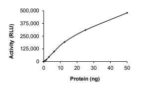STRN-ALK Protein, Human, Recombinant (Sex3Aex20, GST)